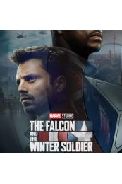 Falcon And The Winter Soldier Jackets And Outfits Merchandise