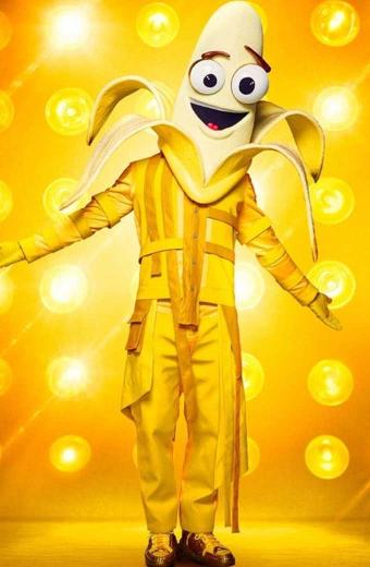 The Masked Singer Bret Michaels Yellow Jacket