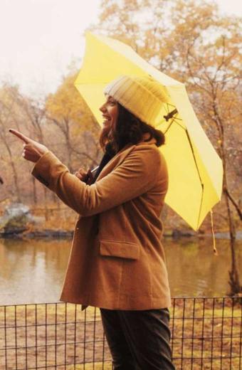 Wendy Brinkley Francesca Reale Dating And New York Blazer