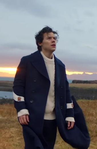 Sign of the times Harry Styles Singer Wool Trench Coat