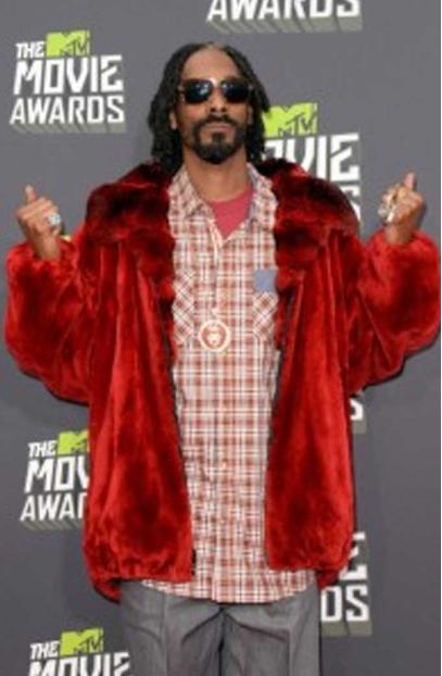 The MTV Movie Awards Snoop Dogg Red Bomber Velvet Jacket snoop-dogg-the-mtv-movie-awards-jacket