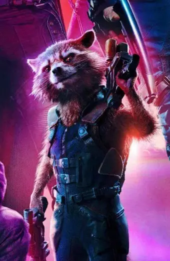 Rocket Raccoon Avengers Infinity War Cosplay Tactical Vest