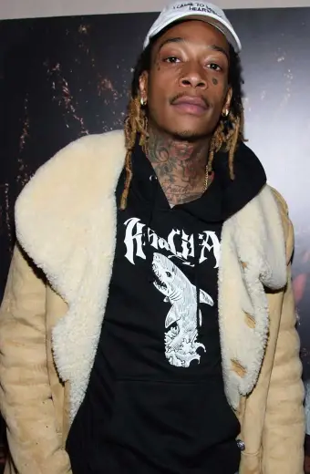 Wiz Khalifa Casual Beige Suede Leather Shearling Plush Coat